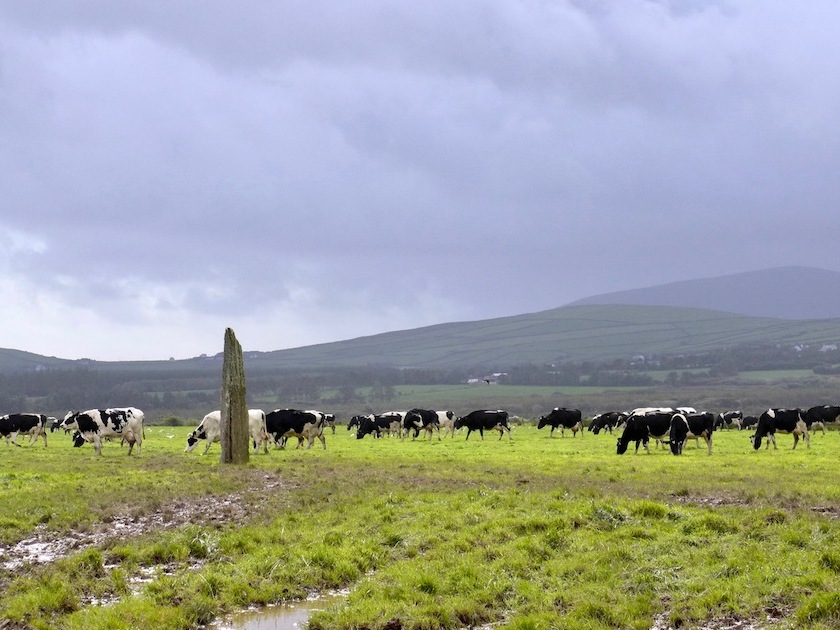 9 Killfountain, co. Kerry, Ireland